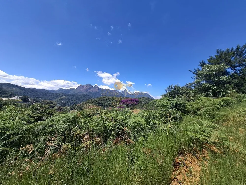 Terreno, 2552 m² - Foto 8