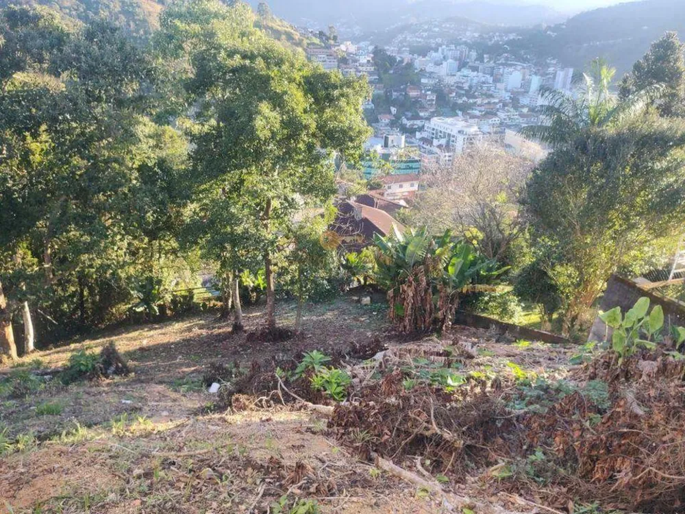Terreno, 510 m² - Foto 7
