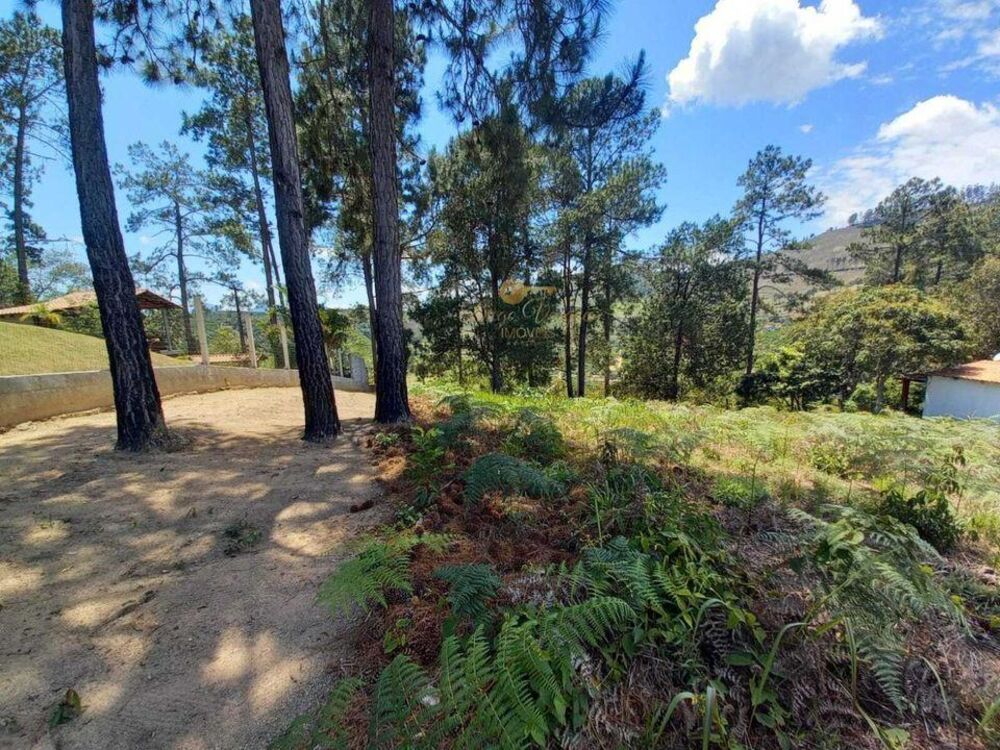 Terreno, 1056 m² - Foto 6