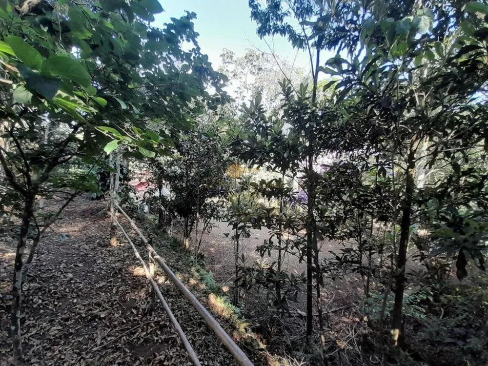 Chácara, 4 quartos, 5100 m² - Foto 48