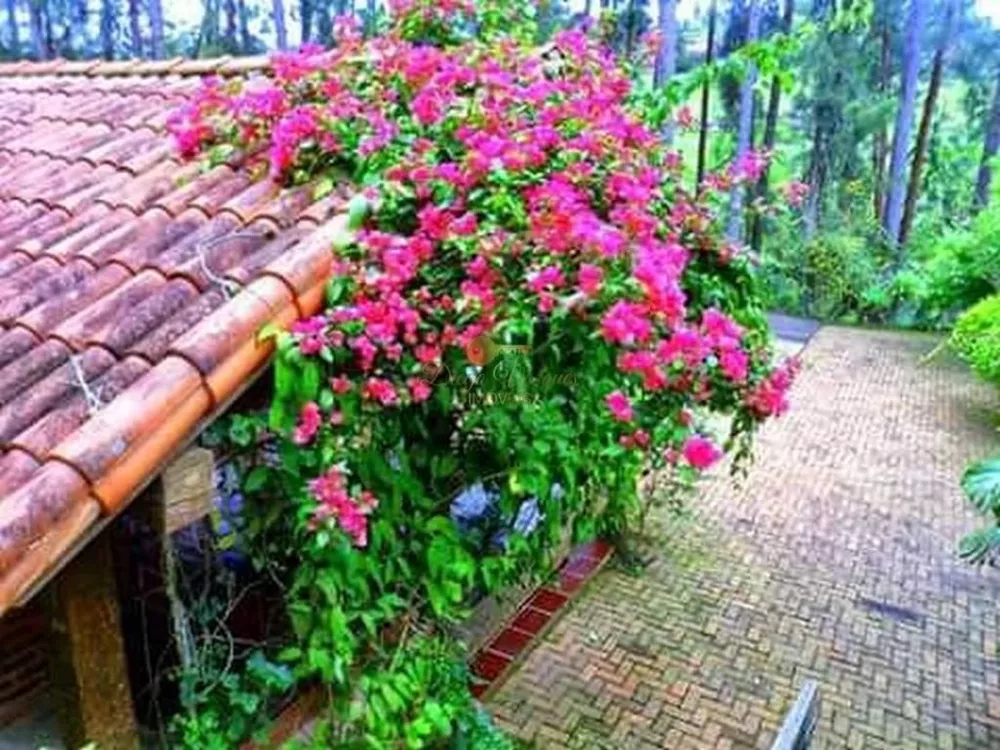 Chácara, 4 quartos, 5100 m² - Foto 19