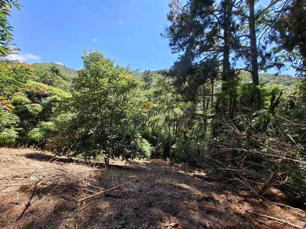 Casa, 2 quartos, 6816 m² - Foto 24