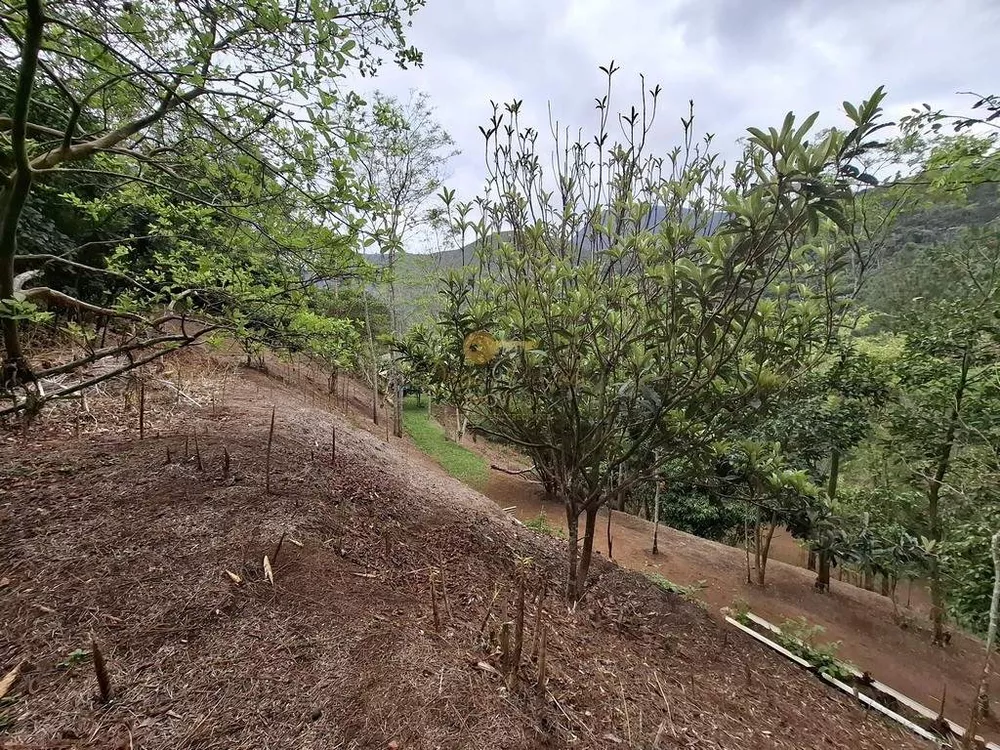 Casa, 2 quartos, 6816 m² - Foto 39