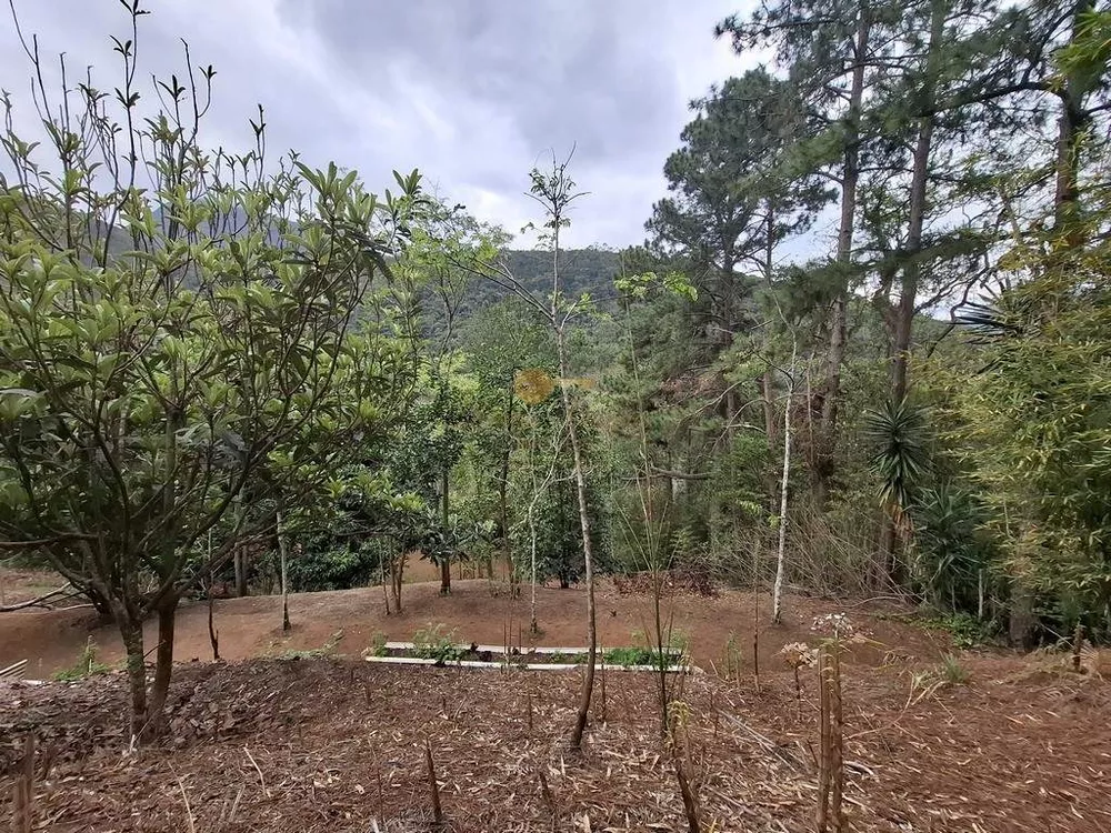 Casa, 2 quartos, 6816 m² - Foto 40