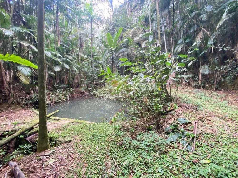 Casa, 4 quartos - Foto 19