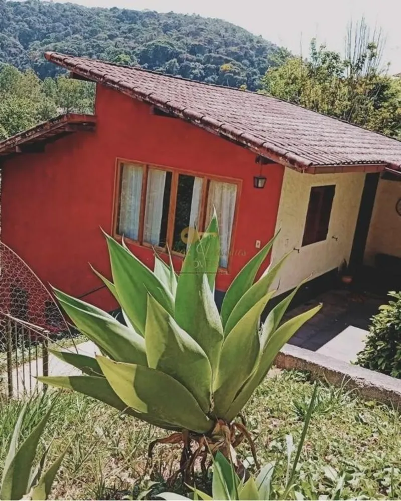 Casa, 4 quartos, 2031 m² - Foto 4