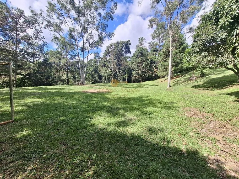 Sítio, 11 quartos, 6 hectares - Foto 38
