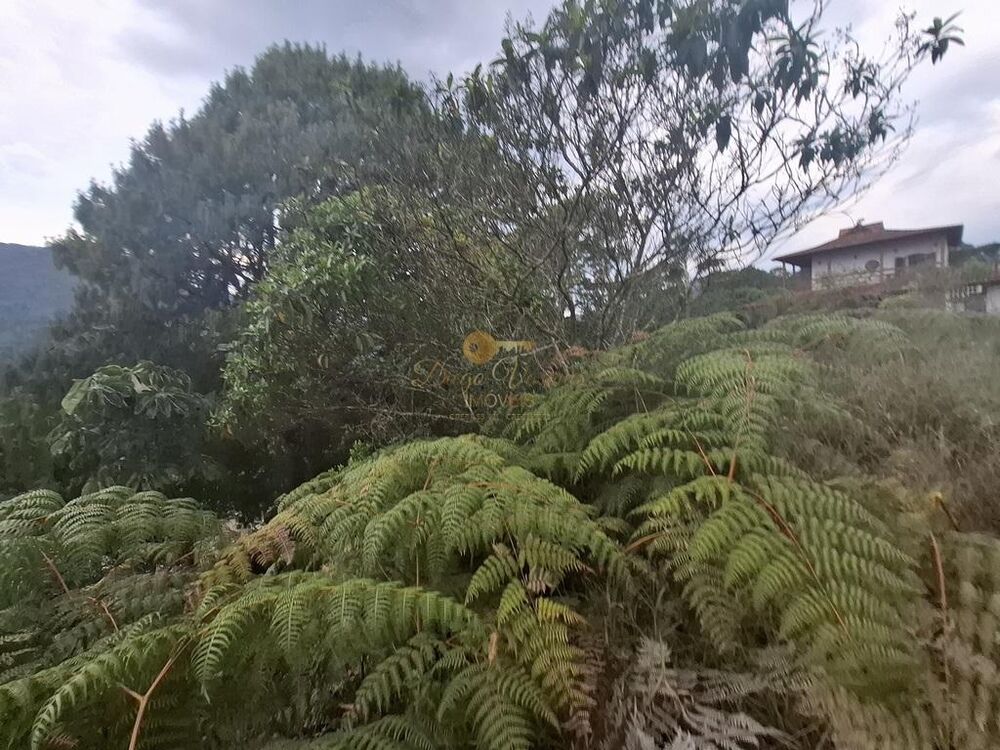 Terreno, 1050 m² - Foto 6