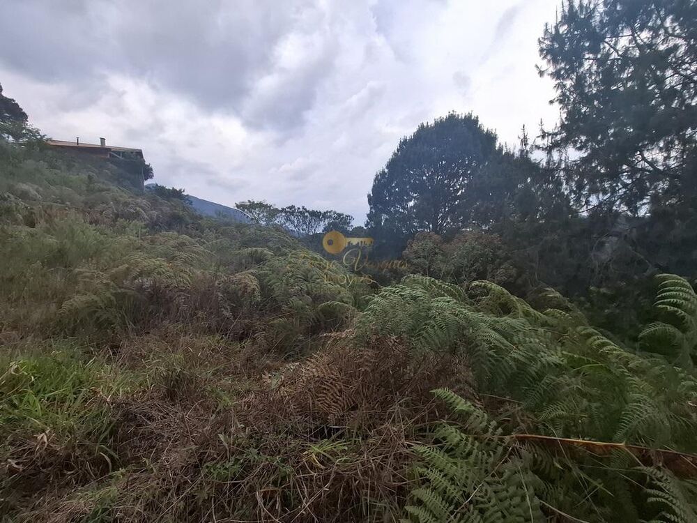 Terreno, 1050 m² - Foto 3