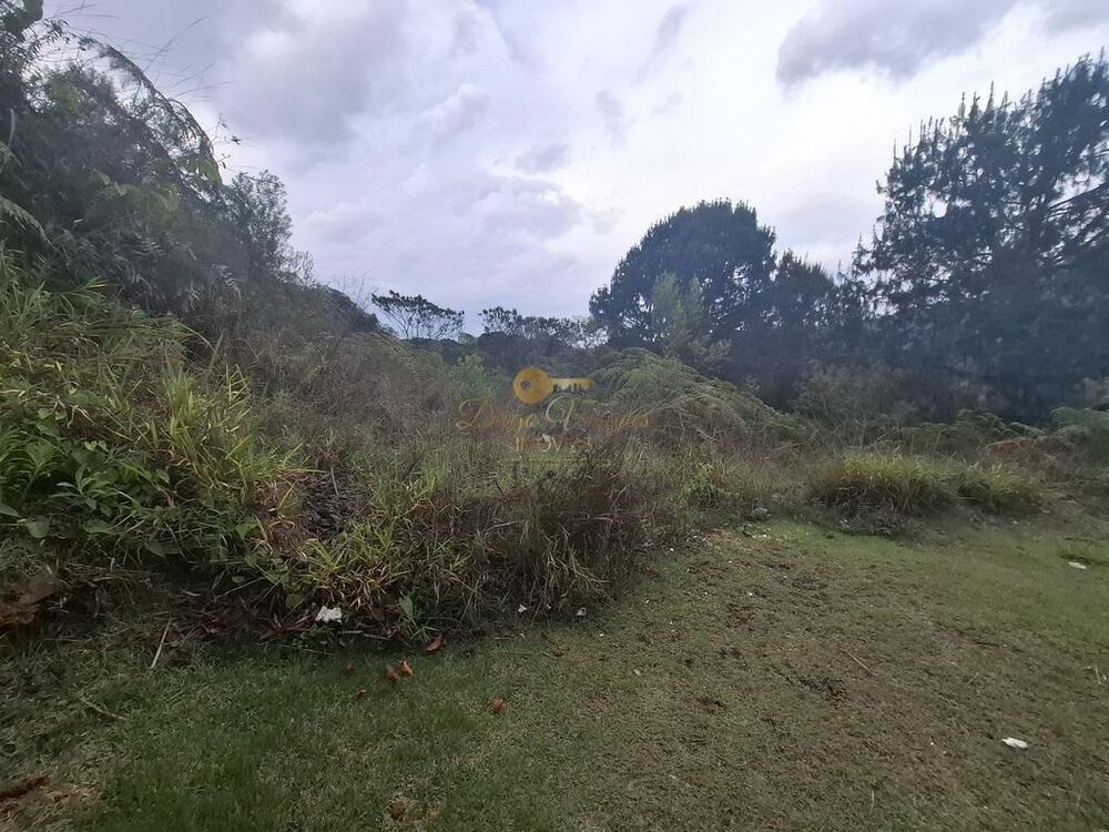 Terreno, 1050 m² - Foto 2