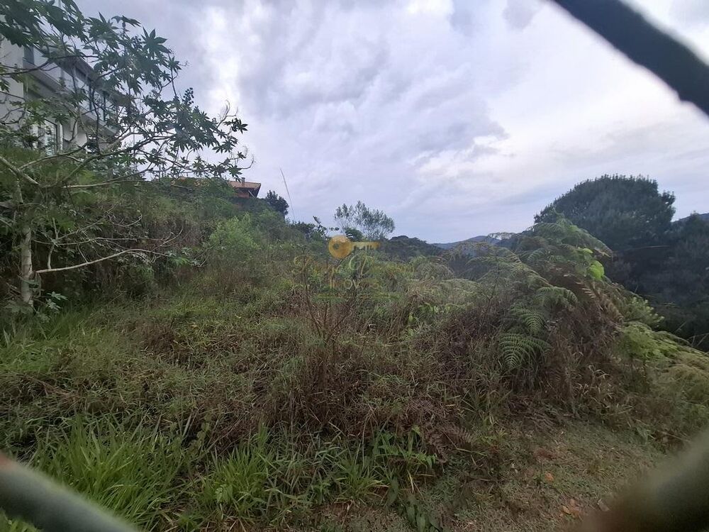 Terreno, 1050 m² - Foto 8