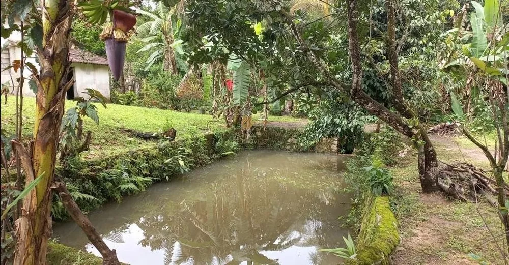 Sítio, 6 quartos, 5000 m² - Foto 17