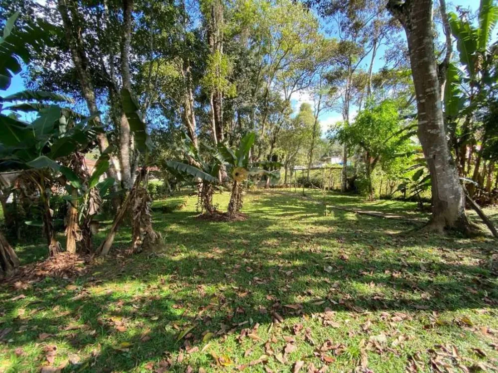 Casa, 4 quartos, 350 m² - Foto 31