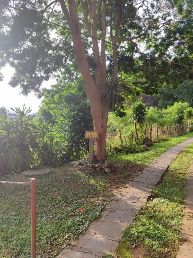 Casa, 3 quartos, 1200 m² - Foto 20