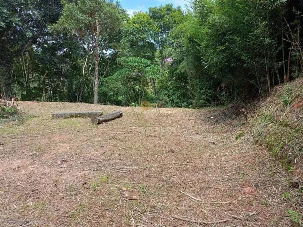 Terreno, 2400 m² - Foto 4