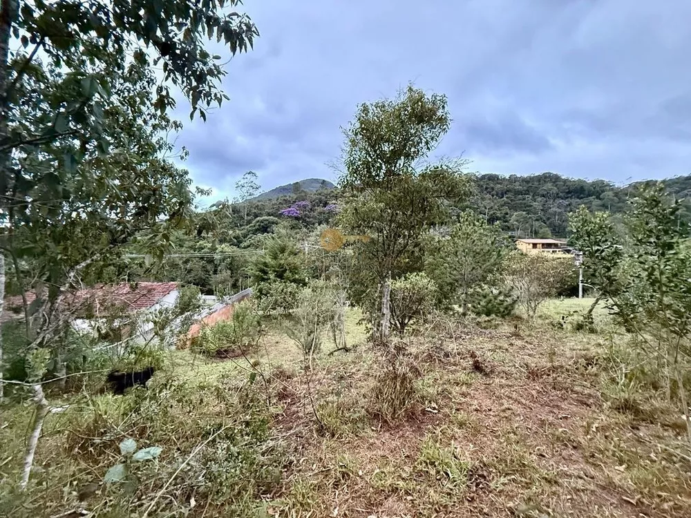 Terreno, 1600 m² - Foto 3