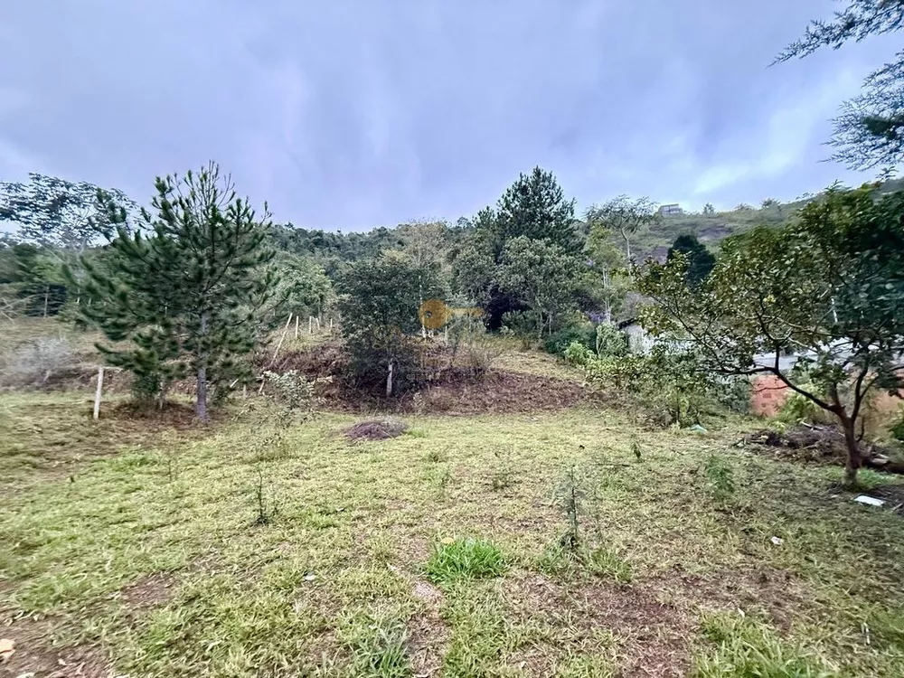 Terreno, 1600 m² - Foto 11