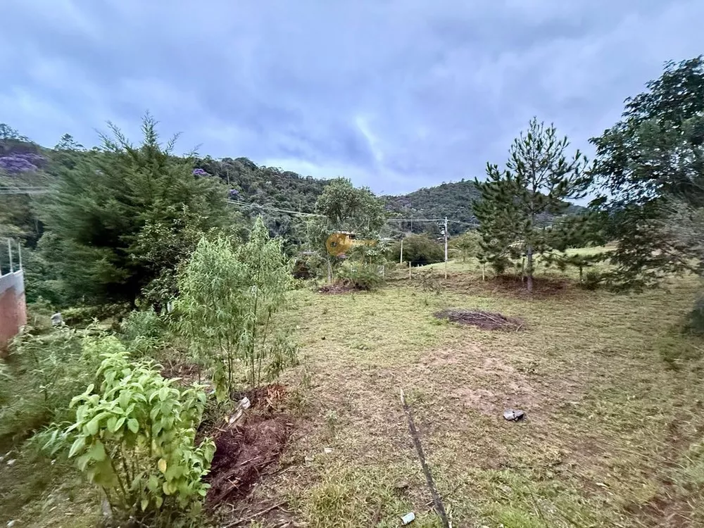 Terreno, 1600 m² - Foto 1