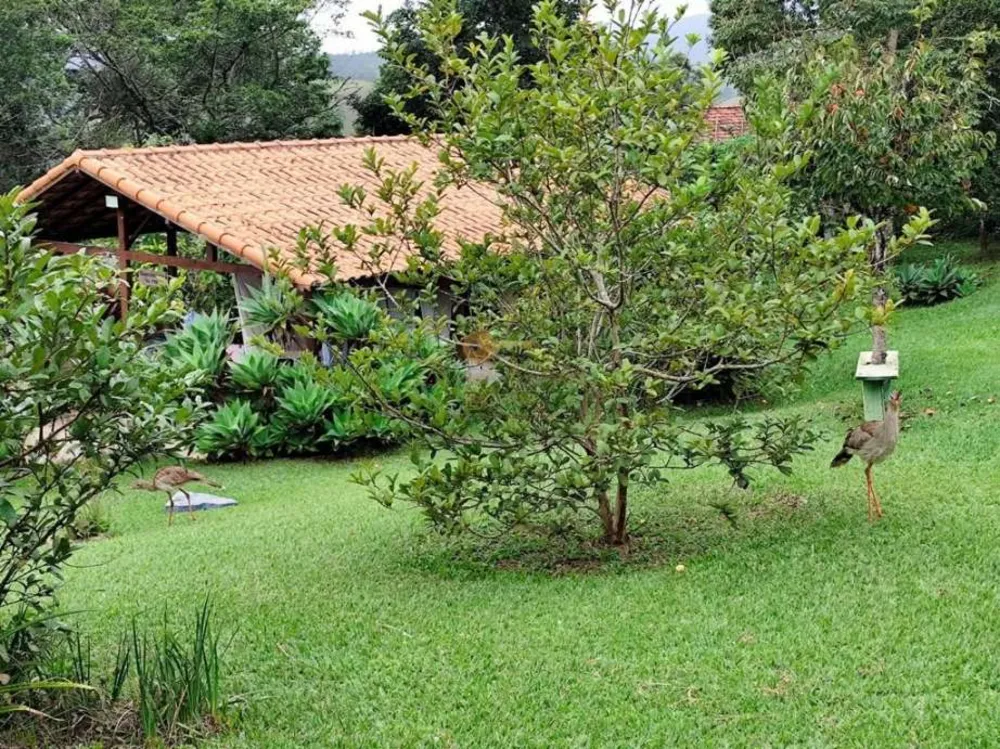 Casa, 6 quartos, 3440 m² - Foto 55