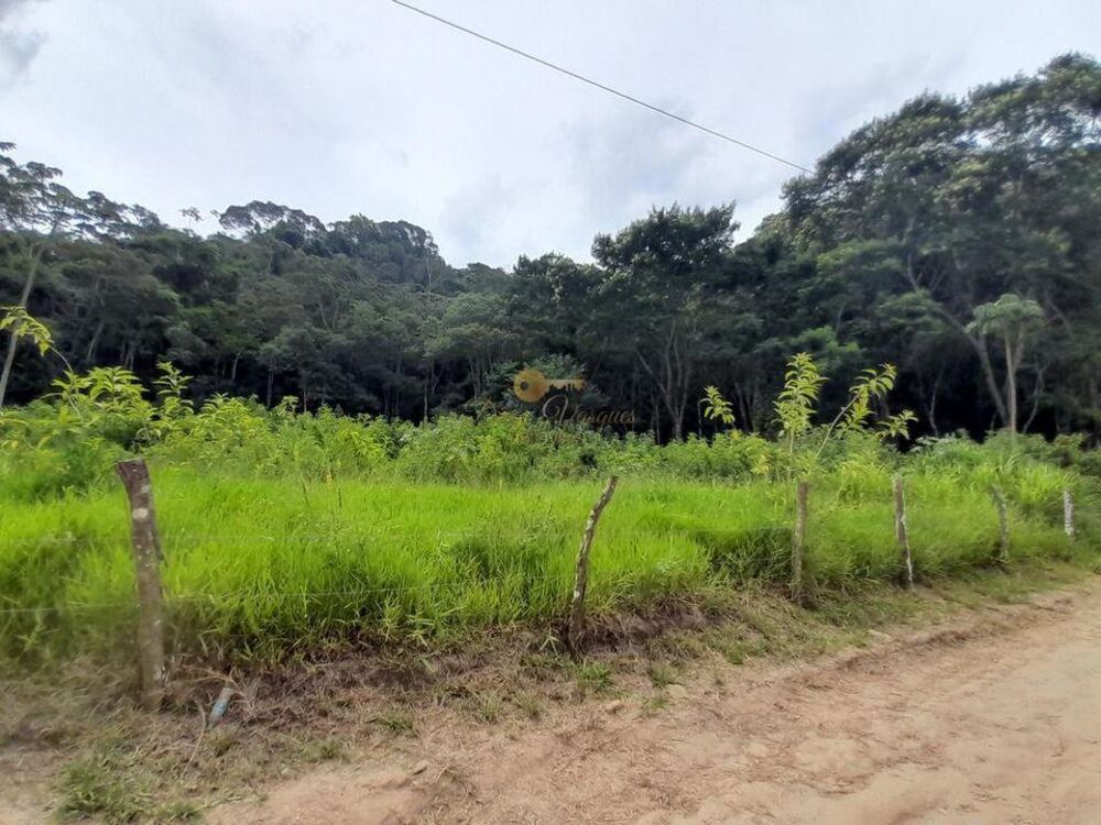Terreno, 48 hectares - Foto 7