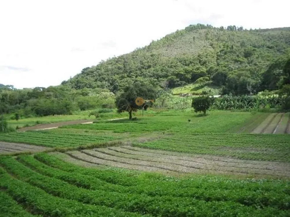Terreno, 48 hectares - Foto 26