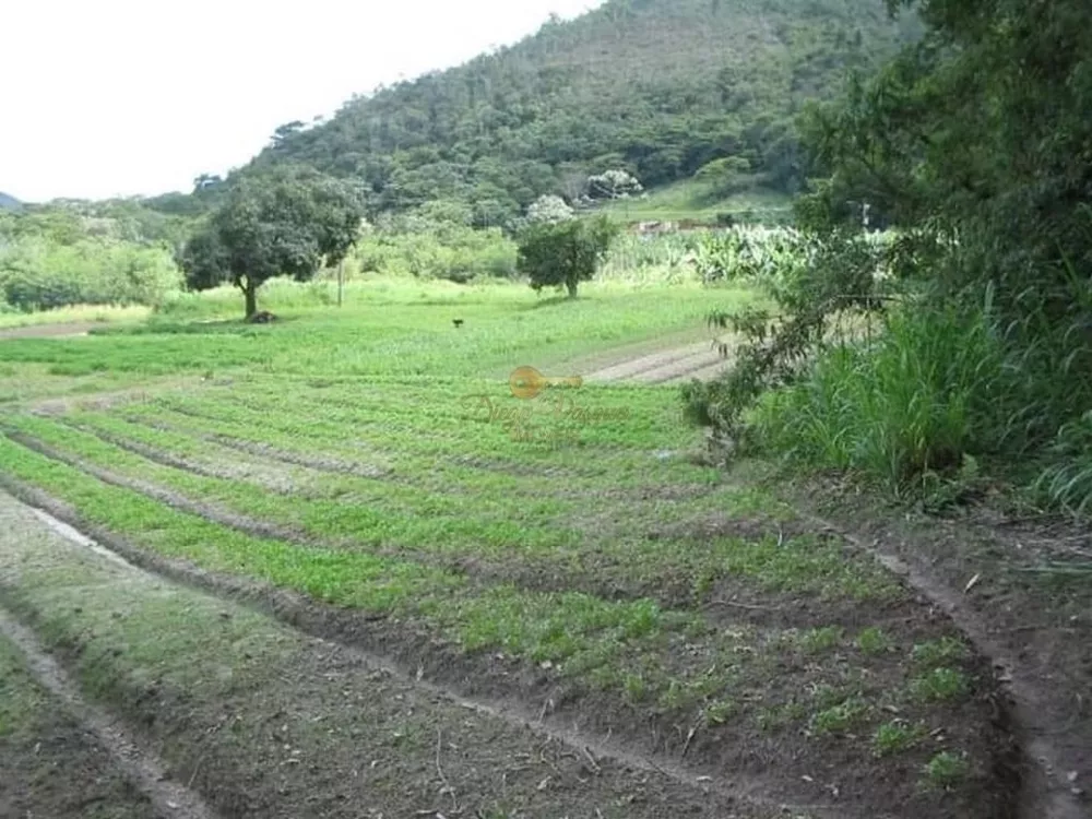 Terreno, 48 hectares - Foto 28