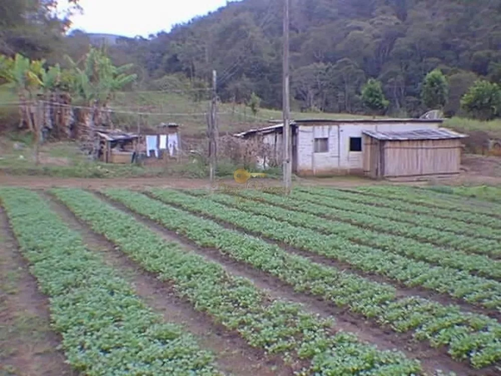 Terreno, 48 hectares - Foto 27