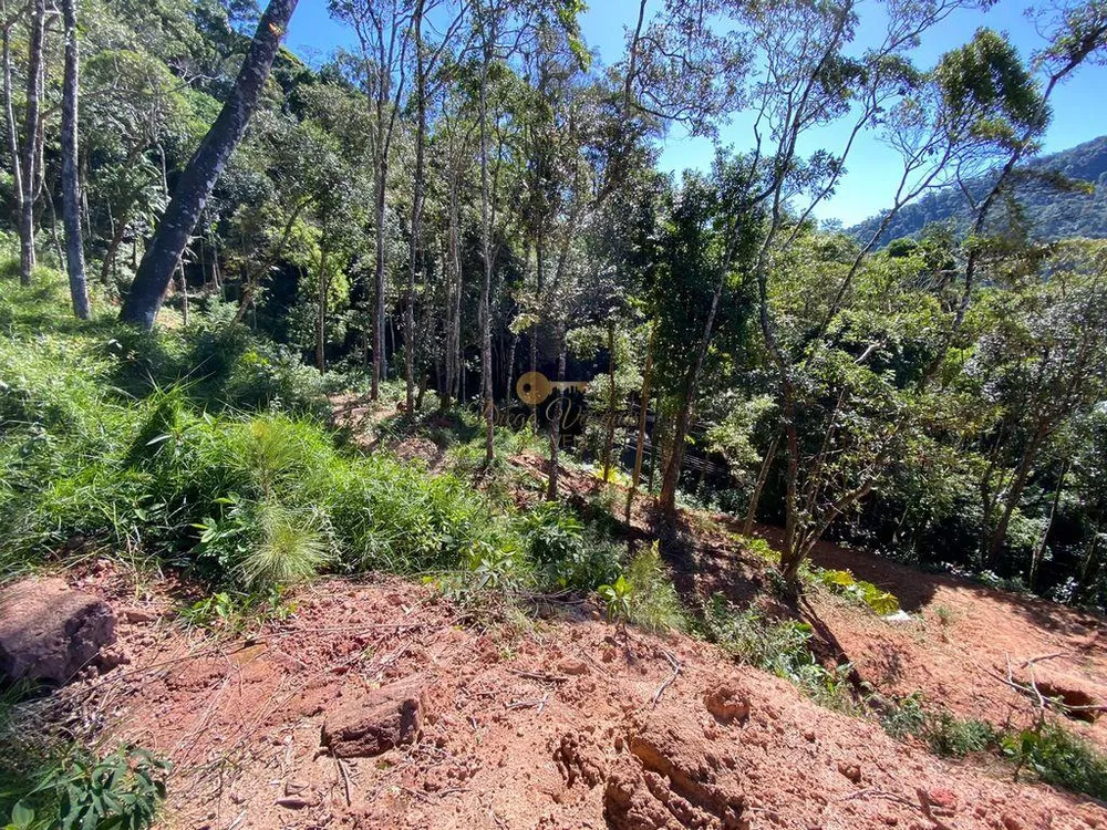 Terreno, 4200 m² - Foto 7