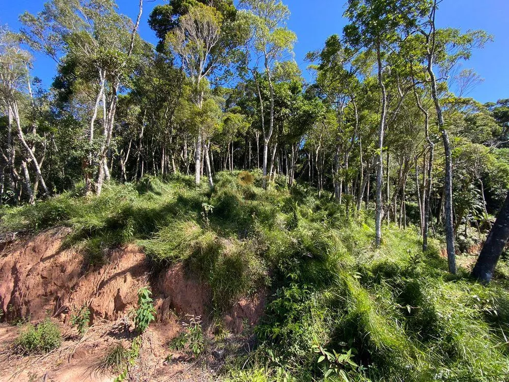 Terreno, 4200 m² - Foto 9