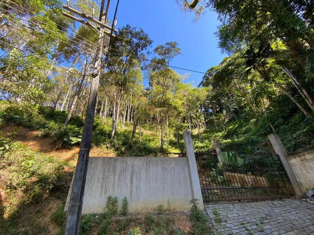 Terreno, 4200 m² - Foto 3