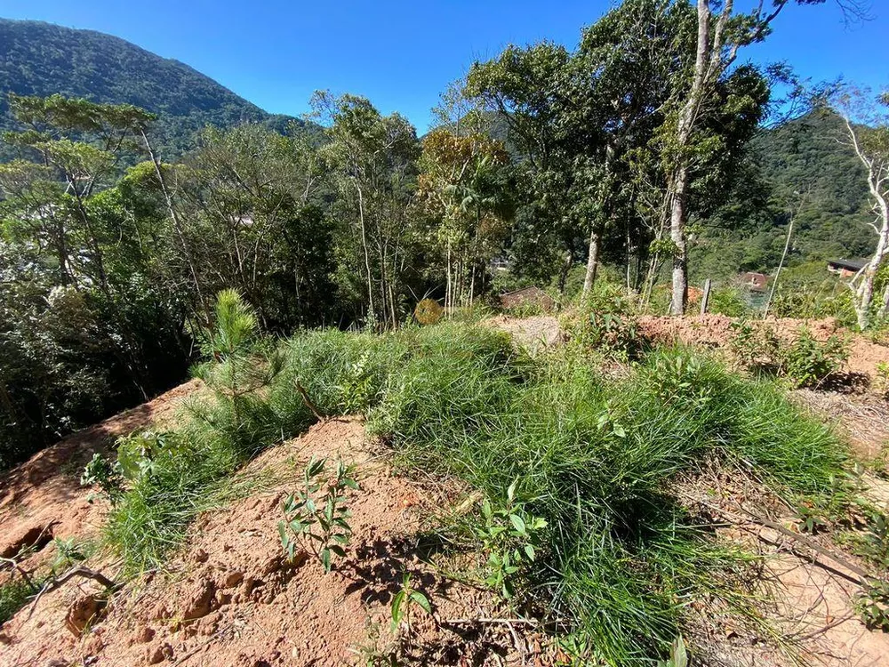 Terreno, 4200 m² - Foto 17