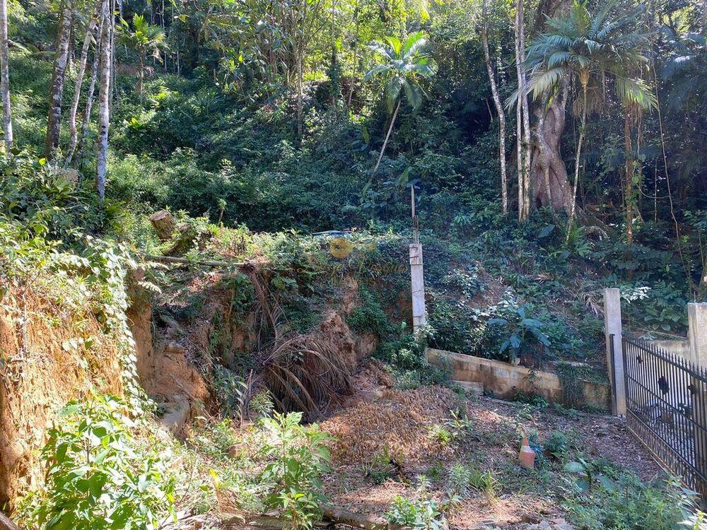 Terreno à venda, 4200m² - Foto 6