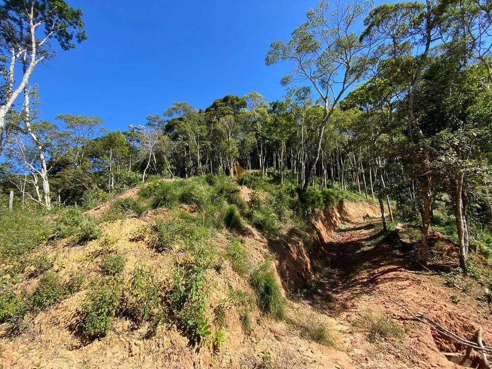 Terreno, 4200 m² - Foto 8