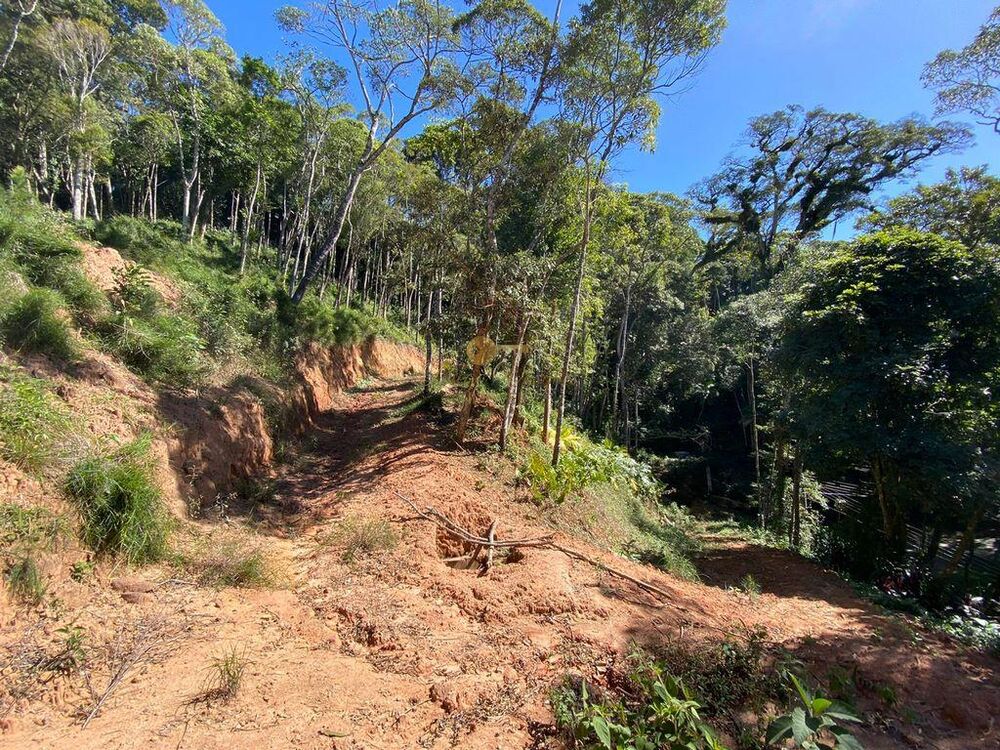 Terreno à venda, 4200m² - Foto 4