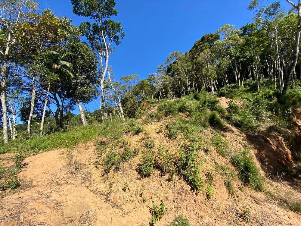 Terreno à venda, 4200m² - Foto 5