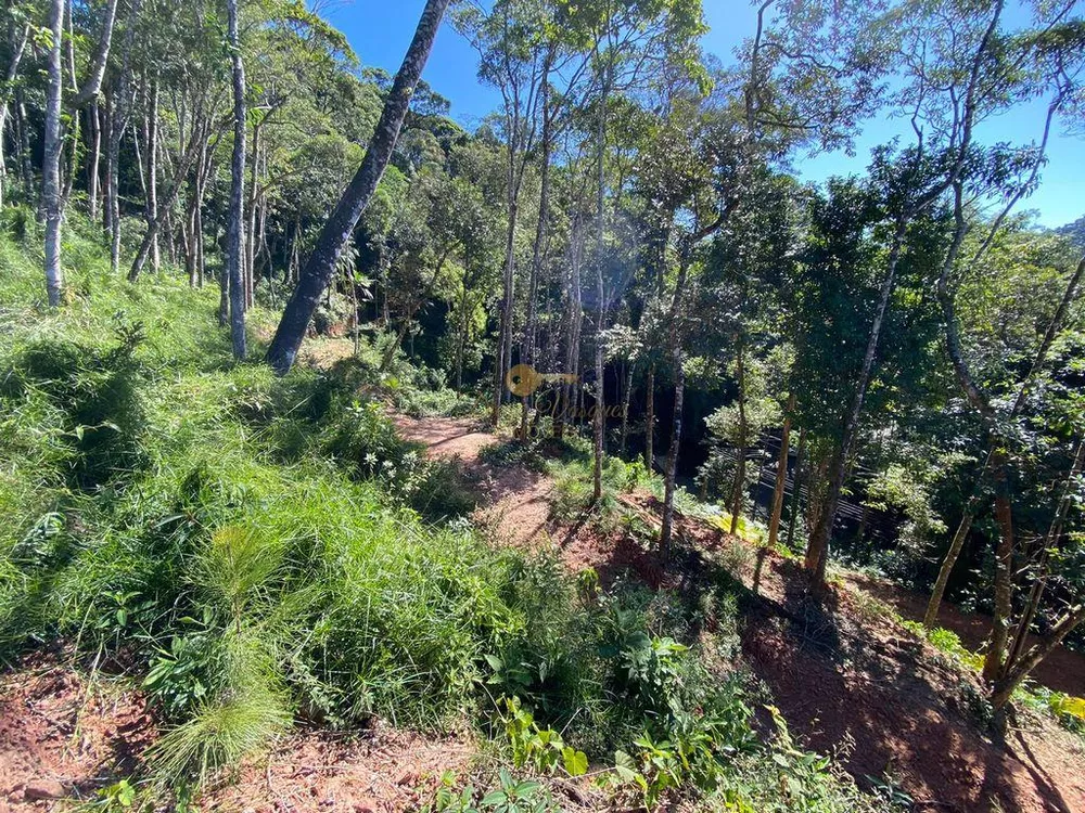 Terreno, 4200 m² - Foto 19