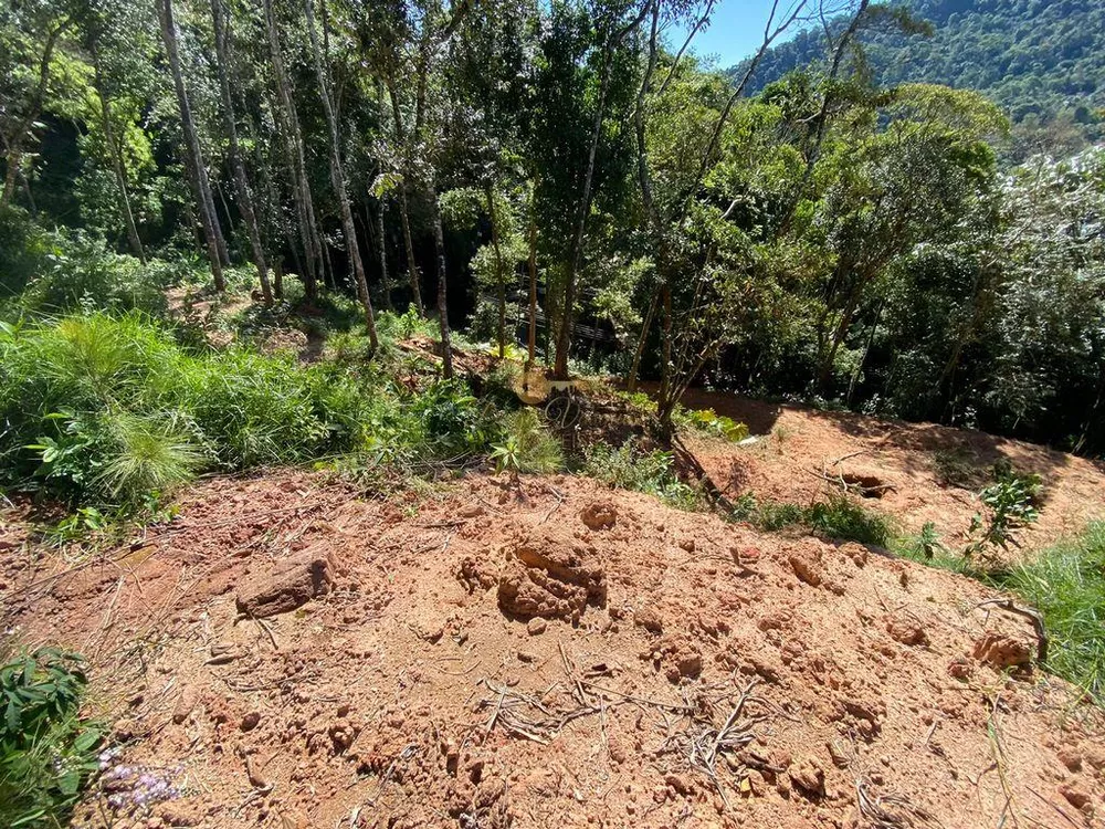 Terreno, 4200 m² - Foto 6