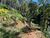 Terreno, 4200 m² - Foto 8