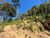 Terreno, 4200 m² - Foto 5