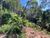 Terreno, 4200 m² - Foto 3