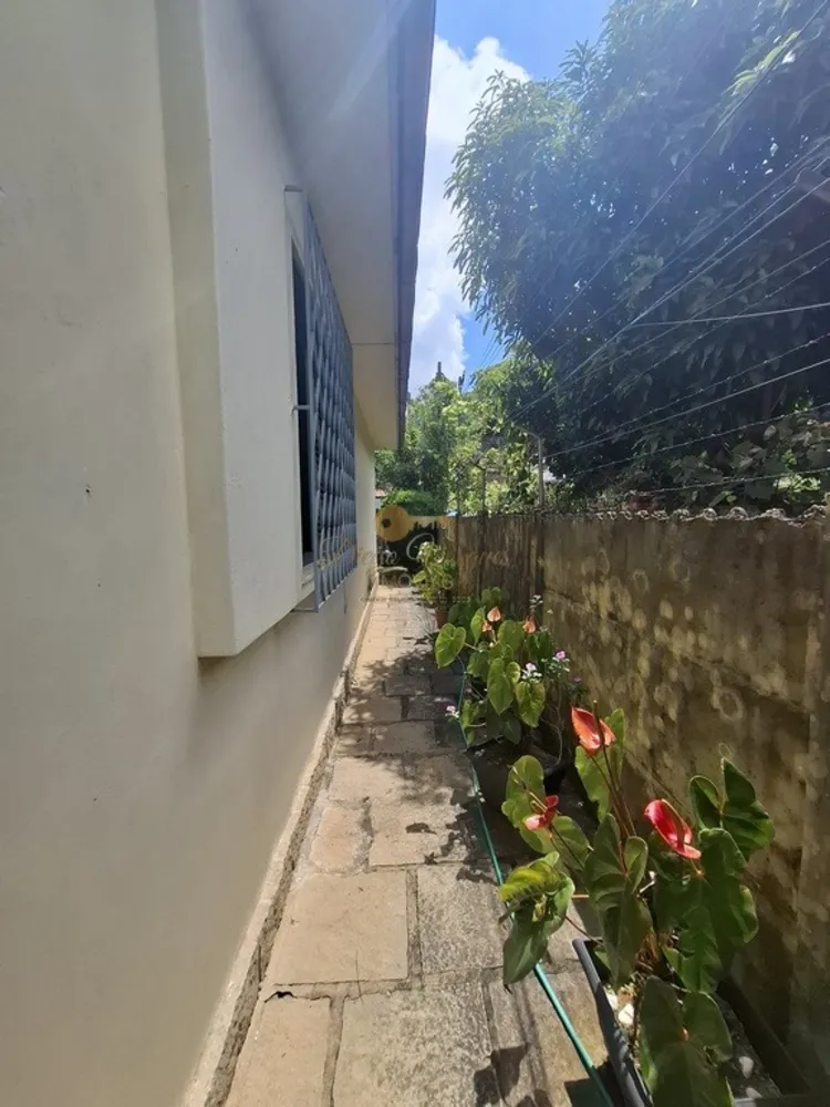 Casa, 3 quartos, 235 m² - Foto 22