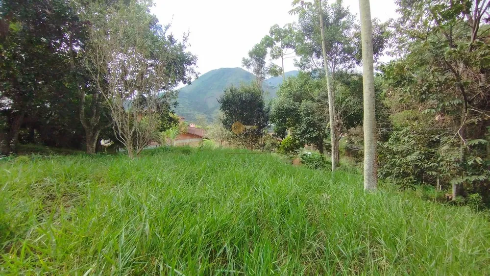 Terreno, 1085 m² - Foto 6