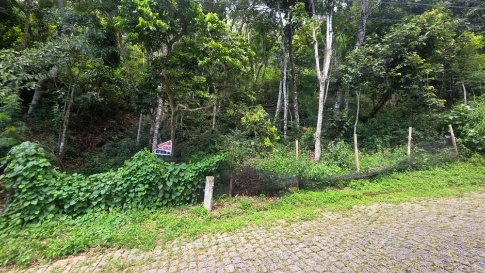 Terreno, 800 m² - Foto 3