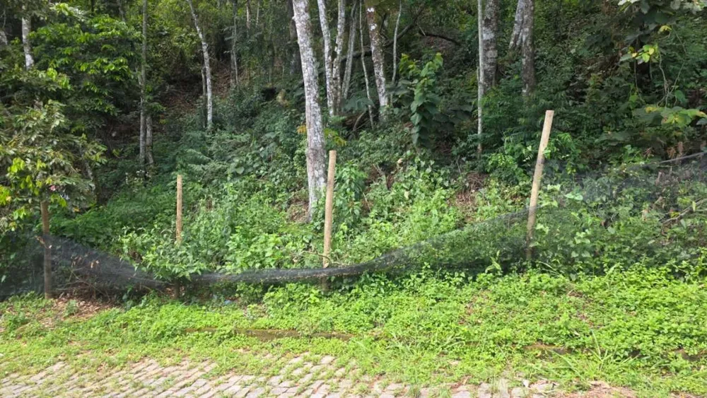 Terreno, 800 m² - Foto 2