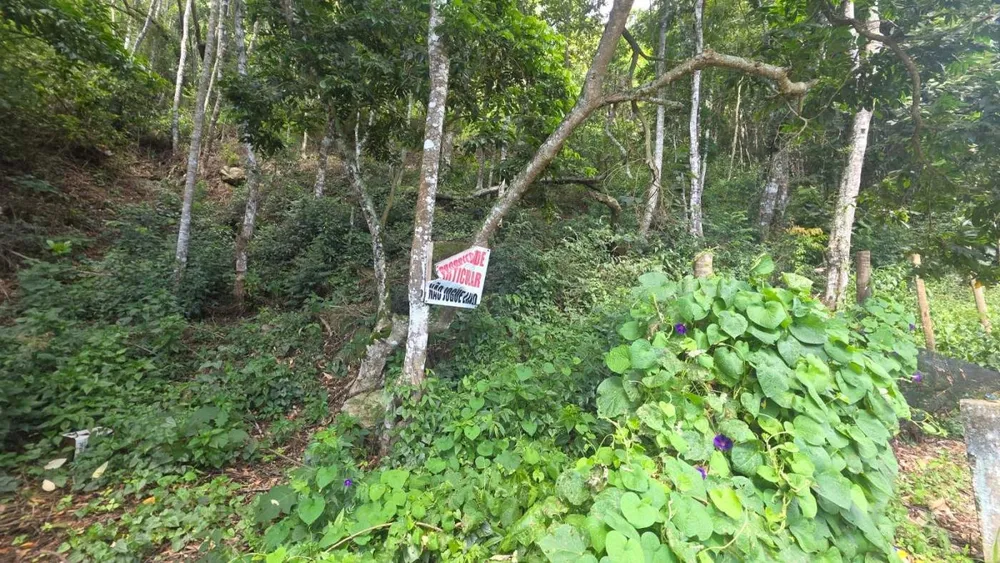 Terreno, 800 m² - Foto 4