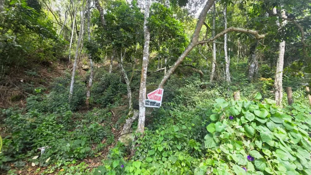 Terreno, 800 m² - Foto 1
