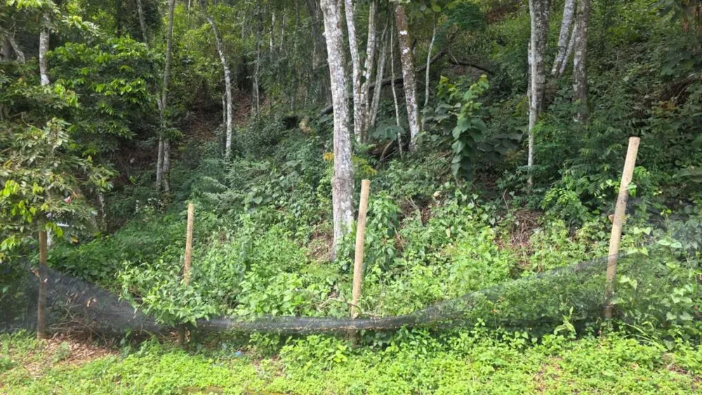 Terreno, 800 m² - Foto 7