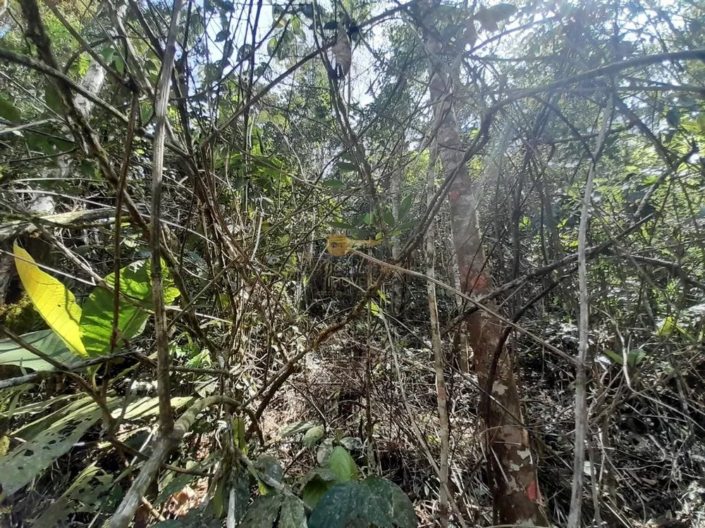 Terreno, 5960 m² - Foto 11