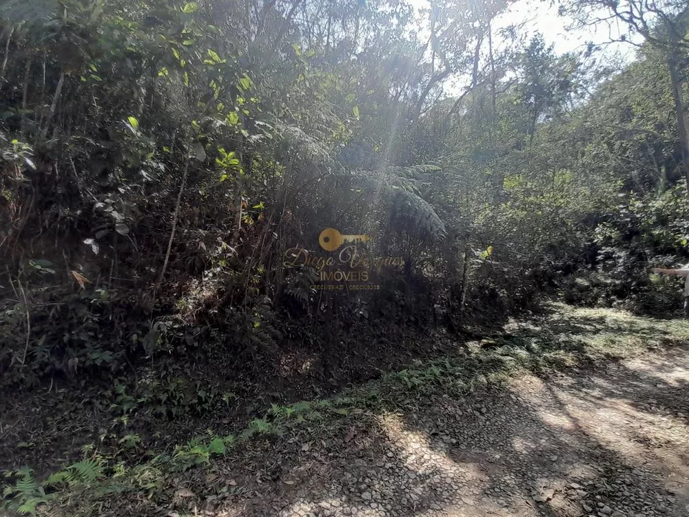 Terreno, 5960 m² - Foto 2