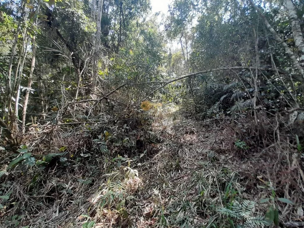 Terreno, 5960 m² - Foto 9